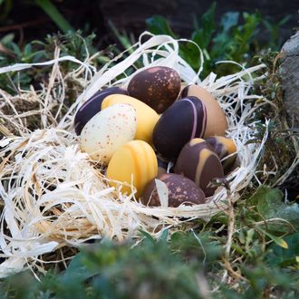 Bild_15_Oster-Schoggi_Labor_Quelle_Pixabay.com